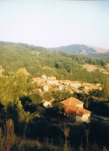Vladobro